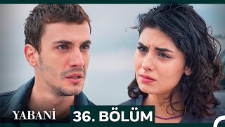 Yabani 36 Bölüm SEZON FİNALİ [upl. by Mellman362]