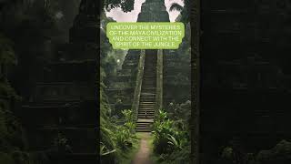 Exploring the Ruins of the Maya City of Tikal Guatemala A Journey into the Heart of the Jungle [upl. by Tallbot]