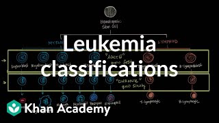 Leukemia classifications  Hematologic System Diseases  NCLEXRN  Khan Academy [upl. by Teplica]