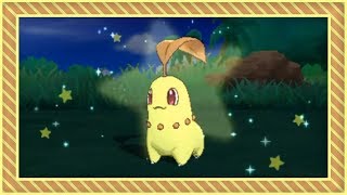 LIVE Shiny Chikorita in Moon after 5037 REs via Island Scan Full odds [upl. by Josy]