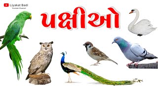 પક્ષીઓના નામ અને અવાજ  Birds Name And Sound  Kids Video by Liyakat Badi [upl. by Nosduj]