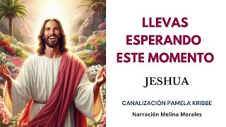 LLEVAS ESPERANDO ESTE MOMENTO💗 Es momento de Brillar💫 Mensaje de Jeshua 🦋Canalización Pamela Kribbe [upl. by Renaldo]