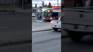 XD40 8223 On Route 40 To Crowfoot Station transit bus shorts update [upl. by Rosol]