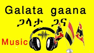 ጋላታ ጋናGalata gaanaNew Gamo People Music 2017EC [upl. by Oirretno]