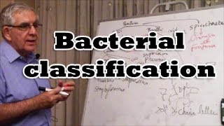 Bacterial Classification [upl. by Bilbe]