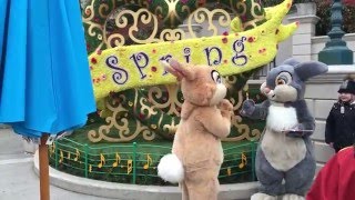 Easter Bunnies Thumper and miss Bunny at Disneyland Paris [upl. by Meggs575]