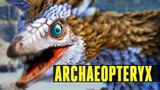 ARCHAEOPTERYX  How to tameEverything you need to know  Ark Survival Evolved Update 247 [upl. by Nyllij216]