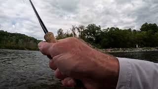 Salmon amp Steelhead  Fighting a large King salmon on the Manistee River [upl. by Nichol268]