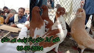 Friday Kabootar Mandi Prize Update Kabootar bazzi Multan Kabootar bazz 360° [upl. by Nonarb]