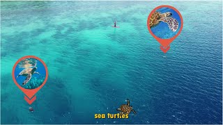 La Concepcion Cove Garden Resort Moalboal Cebu Drone Shots Epi 2 [upl. by Fabrice]