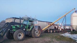 My first Harvest on rented land [upl. by Jezebel936]