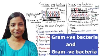 Classification of Bacteria Antibiotics  Lecture 1 [upl. by Egni]