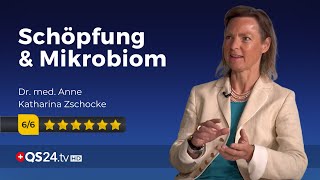 Mikrobiom und Menschsein  Dr Anne Katharina Zschocke  Der Sinn des Lebens  QS24 [upl. by Froma544]