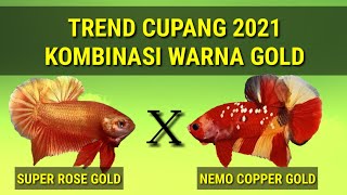 TREND BARU IKAN CUPANG 2021 [upl. by Ahseka]