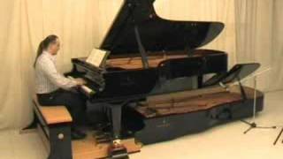 Doppio Borgato  Mirco Bruson plays JSBach Passacaglia 12 [upl. by Ayinat596]