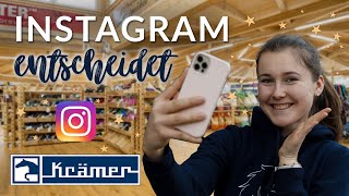 INSTAGRAM BESTIMMT UNSEREN EINKAUF 🥳 Krämer Haul  Pilsali [upl. by Xanthe101]