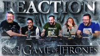 Game Of Thrones 8x3 REACTION quotThe Long Nightquot [upl. by Isac780]