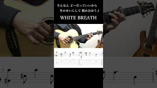 WHITE BREATH  TMRevolution【ソロギター】【タブ譜】 [upl. by Tram]