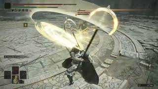 Elden Ring  Starfiber colosseum fight 2 111624 [upl. by Hadeehuat]