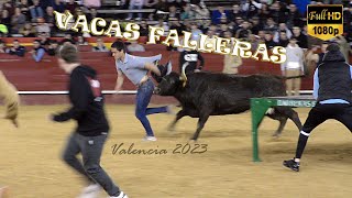 VACAS FALLERAS 2023 💥 Especial Machancoses 17323 [upl. by Grieve]