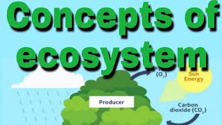 Concepts of ecosystem Definition structure function BSc Final paper III unit II [upl. by Budwig90]