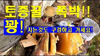 0 5kg 3kg 5kg 토종꿀 채밀영상 [upl. by Giralda]