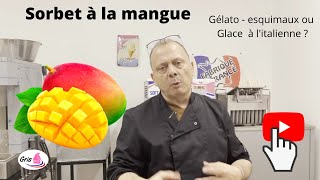 Comment Faire un sorbet à la mangue fraiche  recette  gelato  glace italienne [upl. by Kidd93]