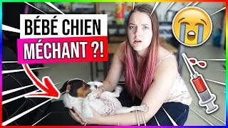 ON FAIT UNE PIQÛRE A NOTRE BÉBÉ CHIEN CHEZ LE VÉTO [upl. by Annam]