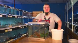 Fishkeeping Tips  How To Perform A Water Change On An Aquarium [upl. by Marybelle446]