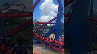 Scorpion at Busch Gardens Tampa themeparks rollercoaster buschgardens [upl. by Brigette]