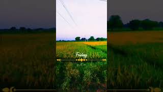 Short video Farming song Best Farming video morning music farming  Agriculture song [upl. by Suivart]