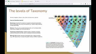 Introduction to life Taxonomy [upl. by Gnehs519]