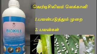 Verticillium lecanii  Omega Ecotech வெர்டிசிலியம் லெக்கானி [upl. by Ataliah225]