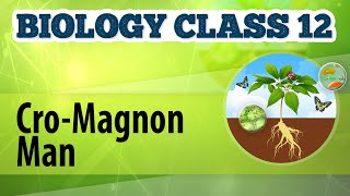 CroMagnon Man  Origin and Evolution of Life  Biology Class 12 [upl. by Nerine]