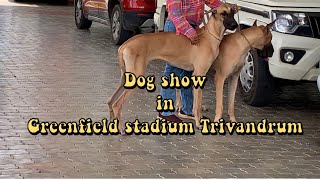 Dog show in Trivandrum Greenfield stadium Trivandrum dog show 2023 [upl. by Suisyola]