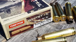 Norma Whitetail 7mm Rem Mag  100 Yard Group Test [upl. by Ade]