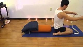 Iyengar Yoga Restorative Class 112912 Recap [upl. by Okiram]