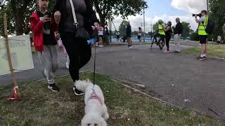 Barking Road Runners  The Phipps 26082024 [upl. by Norehs]