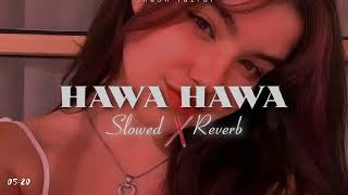 Hawa Hawa SlowedReverb [upl. by Aerdnua]