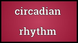 Circadian rhythm Meaning [upl. by Suravart409]