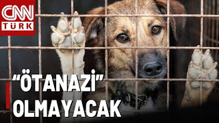 O Yasadan quotÖtanazi quot Kelimesi Çıkarıldı Saldırgan Sokak Köpekleri Yasasına Hangi İfade Eklendi [upl. by Idurt793]