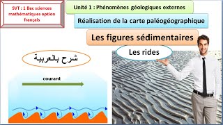 les figures sédimentaires  les rides 1 Bac sciences mathématiques  شرح بالعربية [upl. by Nicoline]