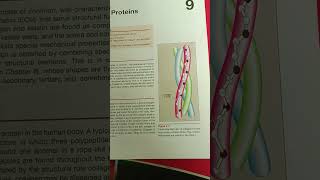 My biochemistry book  1st phase MBBS dreamcollege neet2024batchphysicswallah physicsteacher [upl. by Icnan]