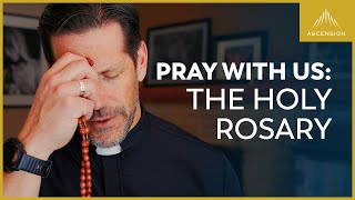 Pray with Us The Sorrowful Mysteries of the Rosary with Fr Mike Schmitz Tuesdays amp Fridays [upl. by Gnuoy]