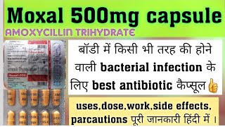 Moxal 500mg capsule  Amoxycllin capsule usedoseworkside effect parcautions पूरी जानकारी हिंदी [upl. by Saraann801]