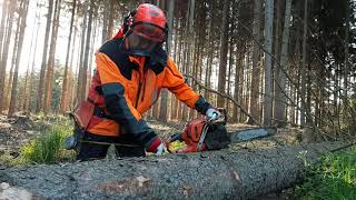 Small Harvester VS Chainsaw Husqvarna 560 XP [upl. by Anwadal]