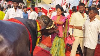 hyderabad Sadar 2024 Festival  Anjali Yadav Bull🐂  Indira Park Sadar Samela 2024 [upl. by Averir]