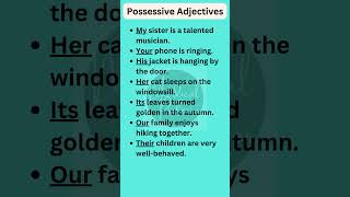 Possessive Adjectives in English Grammar shorts [upl. by Eednyl]