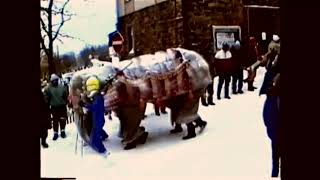 Oberwiesenthal Skifasching 1993 [upl. by Anihs]