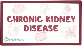 Chronic kidney disease  causes symptoms diagnosis treatment pathology [upl. by Enortna]